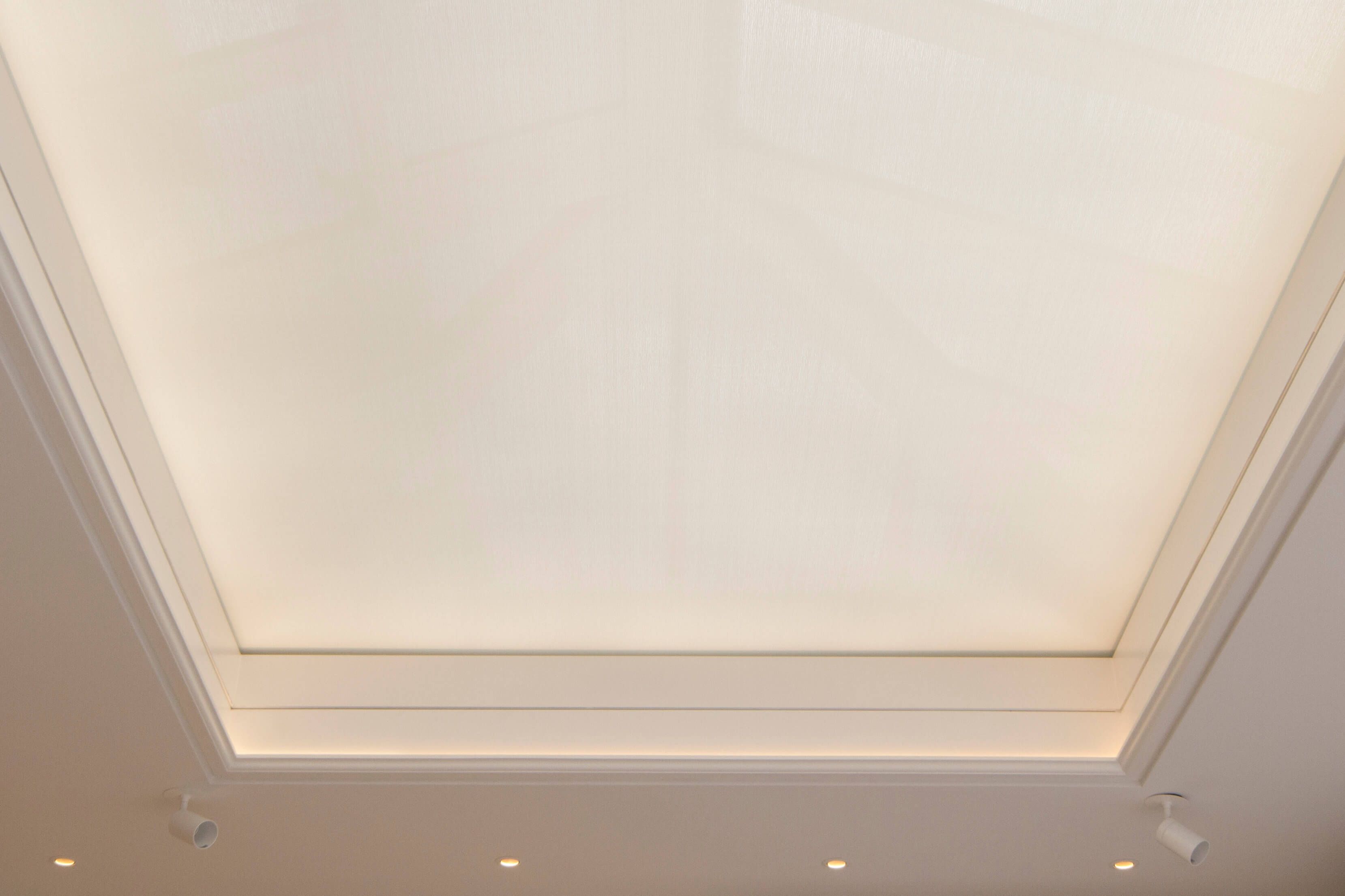 Concealing skylight blinds with Blindspace